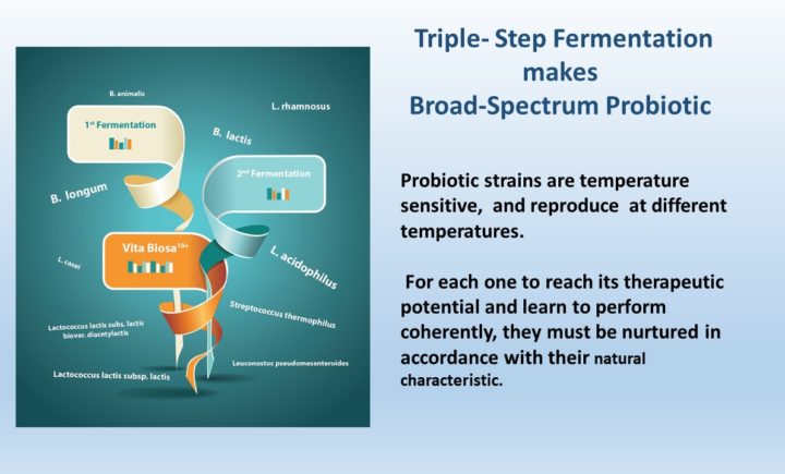 Triple- Step Fermentation makes Broad-Spectrum Probiotic. Probiotic strains are temperature sensitive, and reproduce at different temperatures. For each one to reach its therapeutic potential and learn to perform coherently, they must be nurtured in accordance with their natural characteristic.