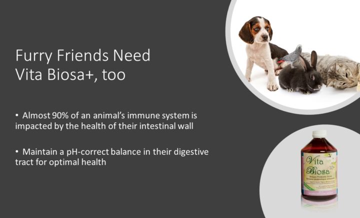 Furry Friends Need Vita Biosa+, too. Almost 90% of an animal’s immune system is impacted by the health of their intestinal wall Maintain a pH-correct balance in their digestive tract for optimal health